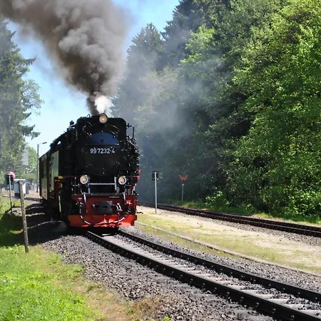Harz-rose Braunlage