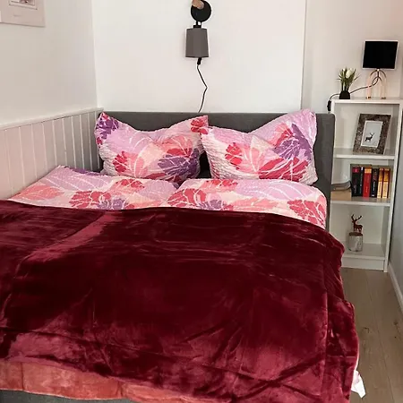 Apartamento Harz-rose Braunlage