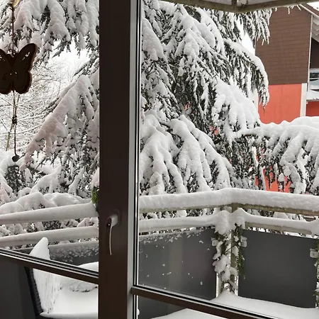 Harz-rose * Braunlage