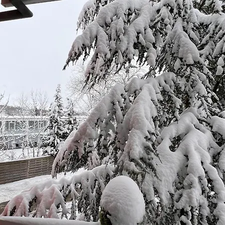 Apartamento Harz-rose