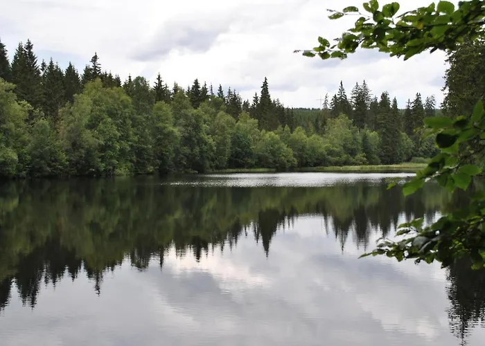 Harz-rose Браунлаге