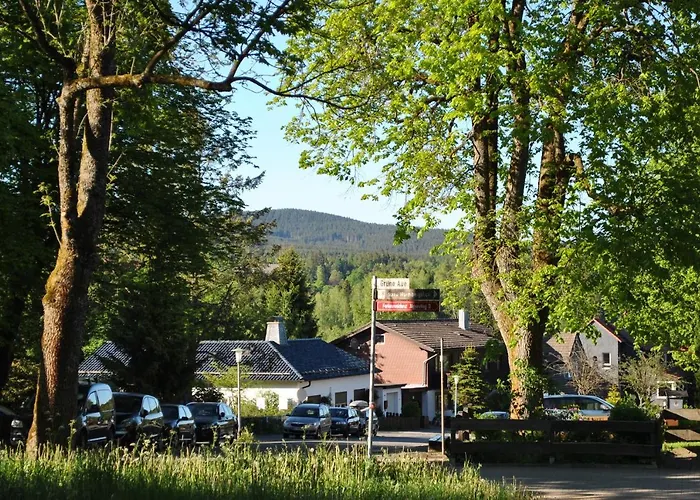 Daire Harz-rose Braunlage