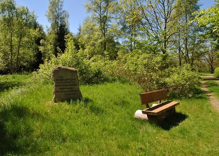 Harz-rose Daire Braunlage