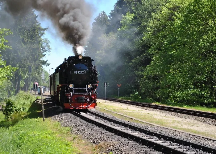Harz-rose Braunlage