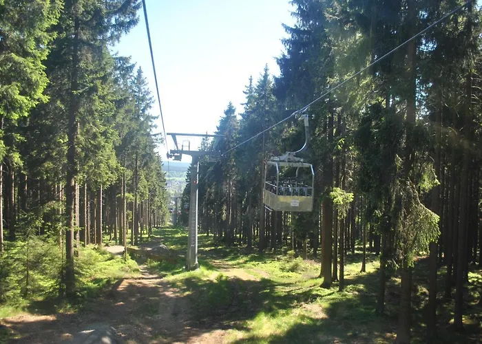 Апартаменты Harz-rose *