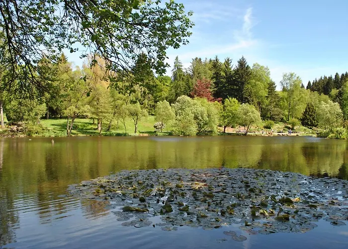 Harz-rose Daire Braunlage