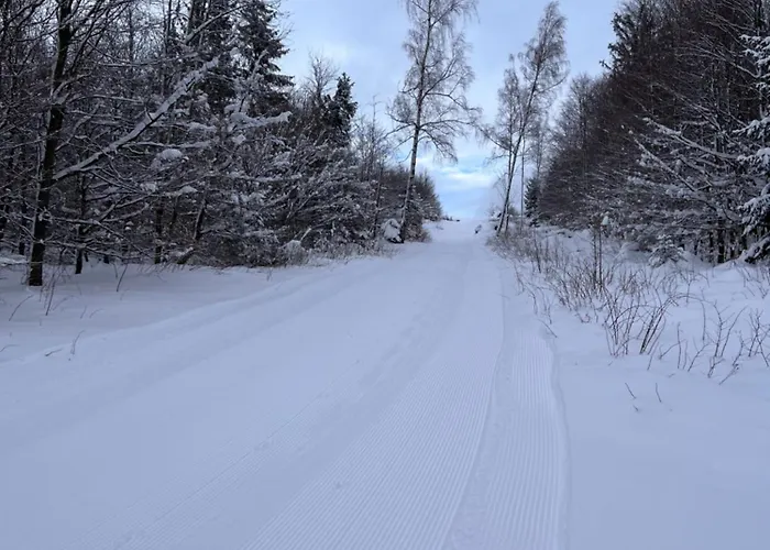 Daire Harz-rose Braunlage