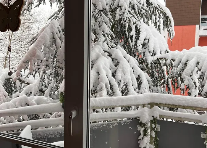 Harz-rose * Braunlage