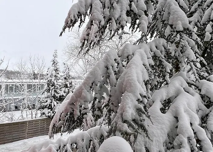 Апартаменты Harz-rose